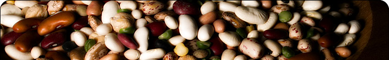Andys Market Online