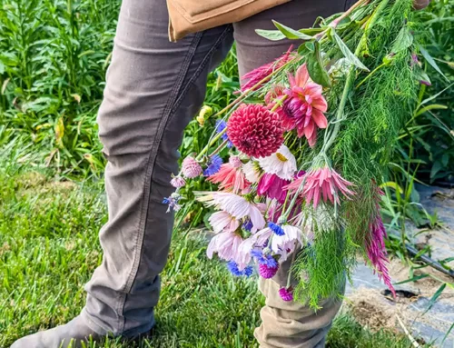 Meet the Grower: Walla Walla Flower Farm